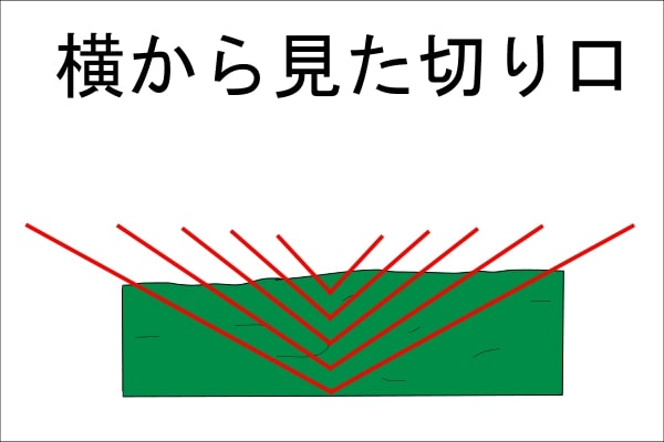 縦の両サイドから切り込みを入れた画像（横からの視点）